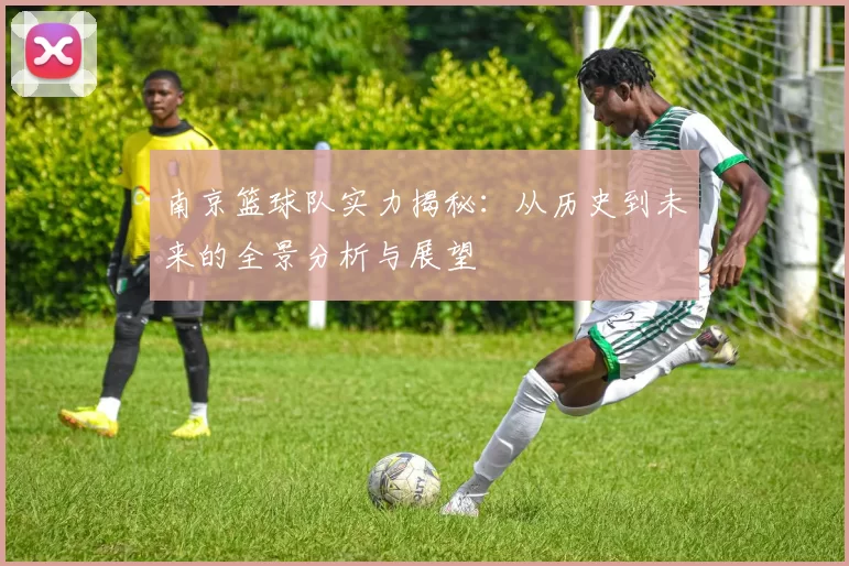 南京篮球队实力揭秘：从历史到未来的全景分析与展望