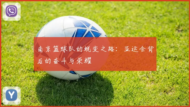 南京篮球队的蜕变之路：亚运会背后的奋斗与荣耀