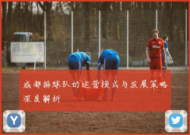 成都排球队的运营模式与发展策略深度解析