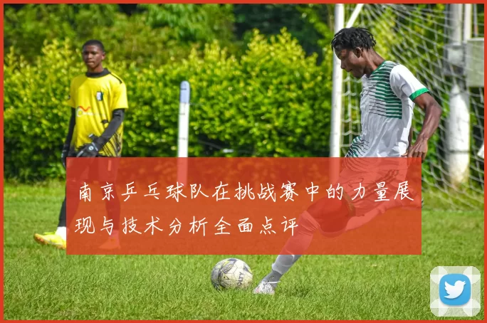 南京乒乓球队在挑战赛中的力量展现与技术分析全面点评