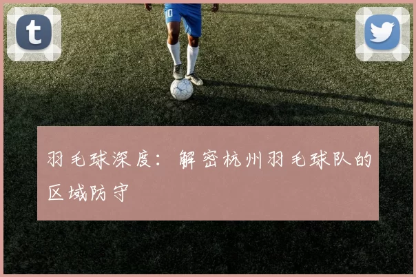 羽毛球深度：解密杭州羽毛球队的区域防守