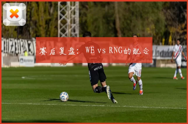 赛后复盘：WE vs RNG的配合