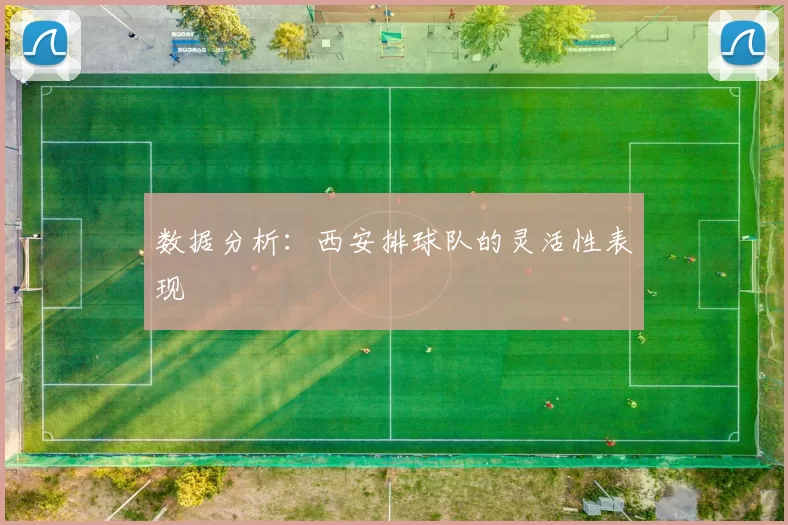 数据分析：西安排球队的灵活性表现