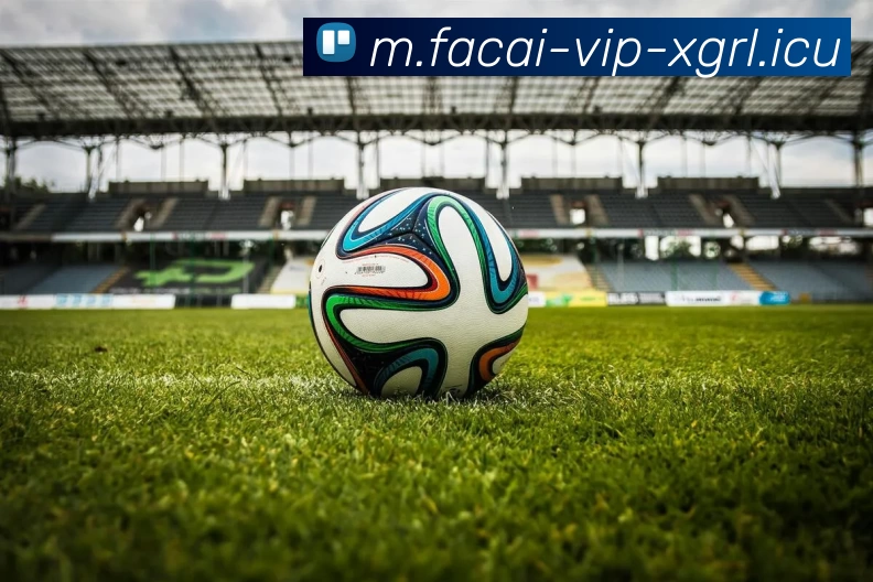 乐鱼体育平台生态图