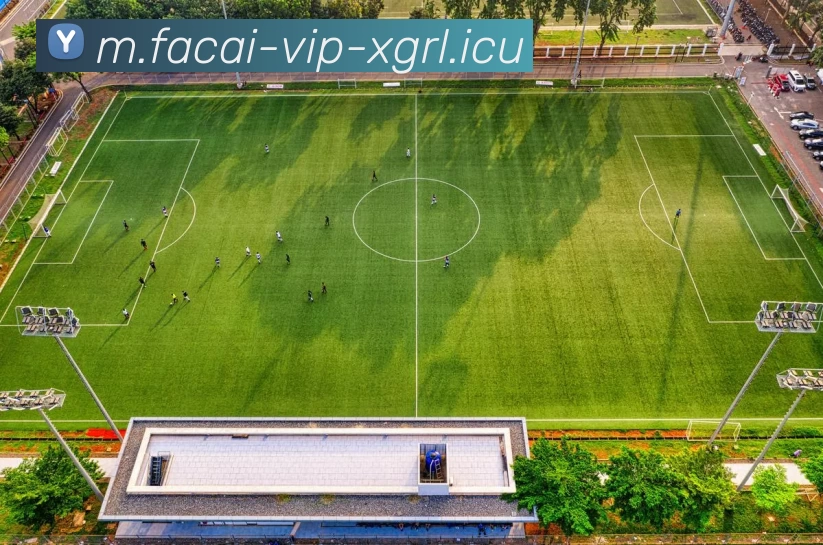 乐鱼体育APP 封面图